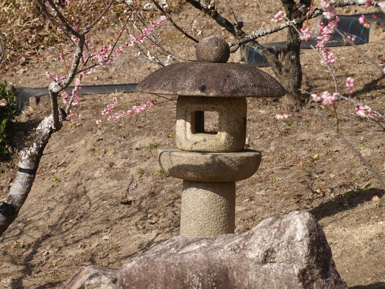 岩津天満宮の梅まつり｜石灯籠巡り : 岡崎市 老舗石屋㈱杉田石材店の