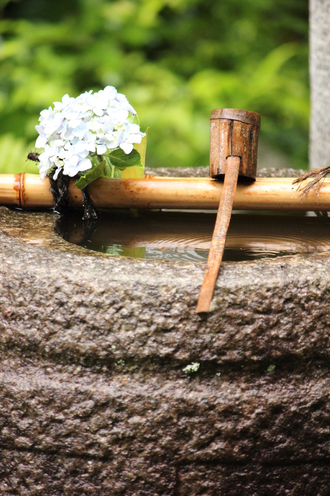つくばい　袈裟鉢 雨の日の庭