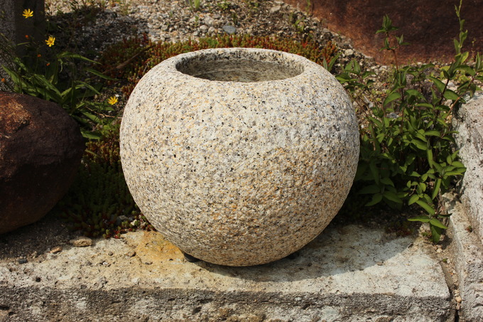 つぼみ鉢