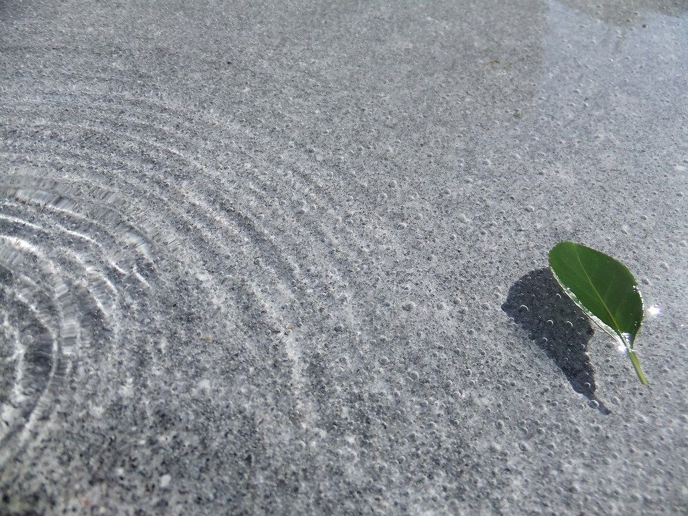水盤のあるお庭で安らぎの暮らしを~天然石の水盤~ : 岡崎市 水盤のあるお庭で安らぎの暮らしを~天然石の水盤~ : 岡崎市