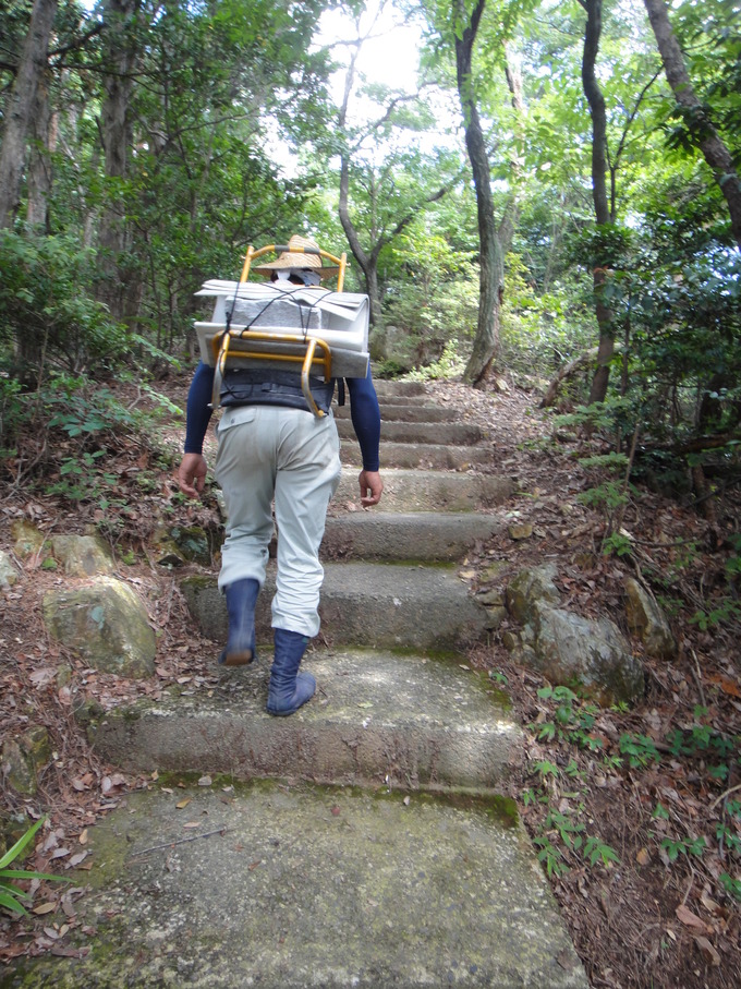 背負子を使って石を運ぶ
