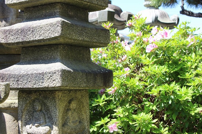 五層塔とつつじ　stonelantern