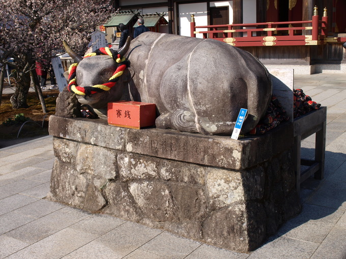 撫で牛|岩津天満宮