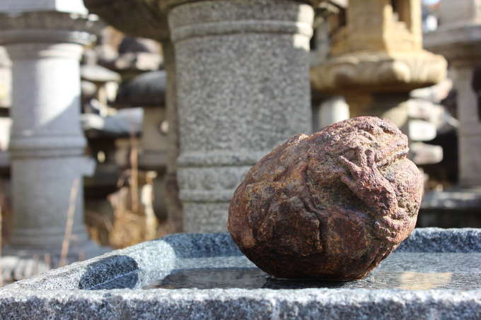 蛙（本鞍馬石）