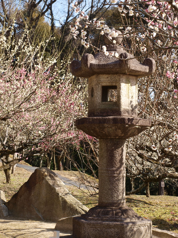 石清水|岩津天満宮東山梅苑