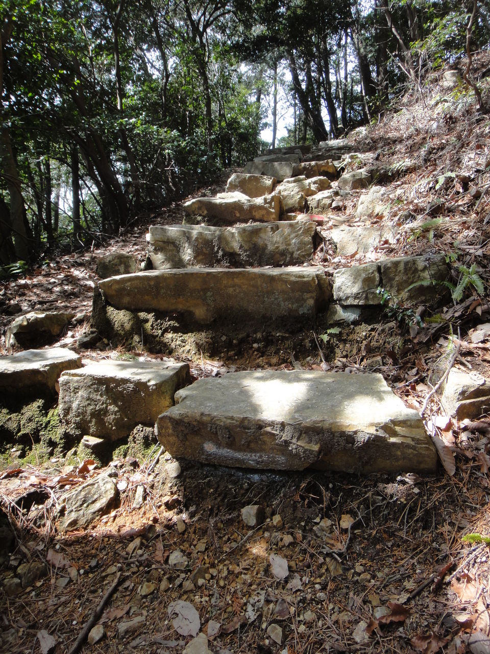 山道の石階段修理と増設工事 尾張本宮山 大縣神社 石灯篭 とうろう 庭園造園 神社寺院用石製品 墓石の老舗石屋 杉田石材店