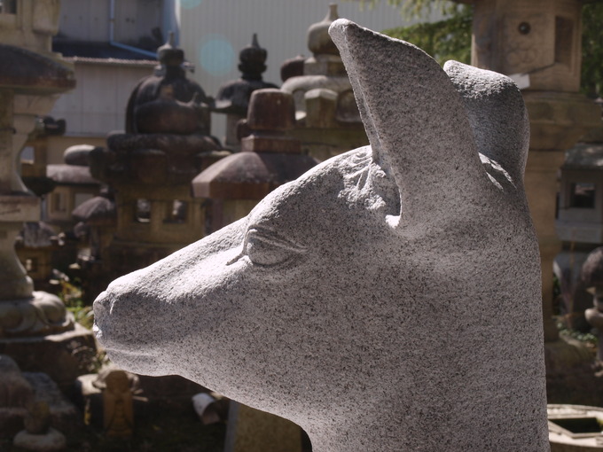 親子なで鹿(砥鹿神社)神鹿親鹿