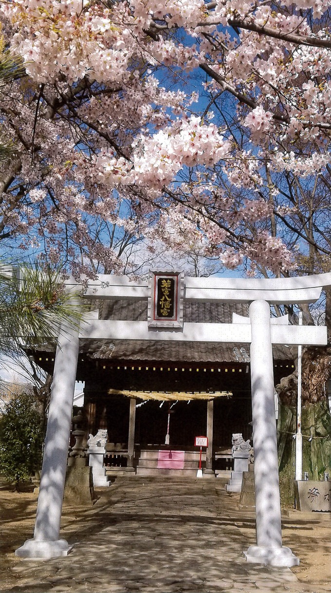 高崎市若宮八幡宮