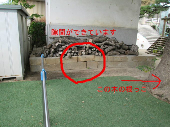 石積みの積み直し｜木の根