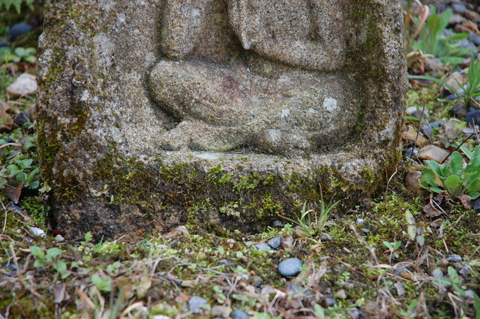 弥勒菩薩の苔