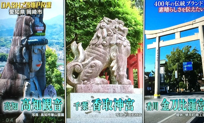 鉄腕ダッシュ 岡崎みかげ石 杉田石材店狛犬