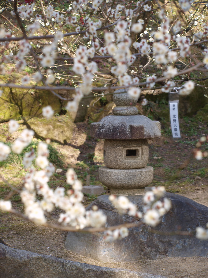 岬|岩津天満宮東山梅苑
