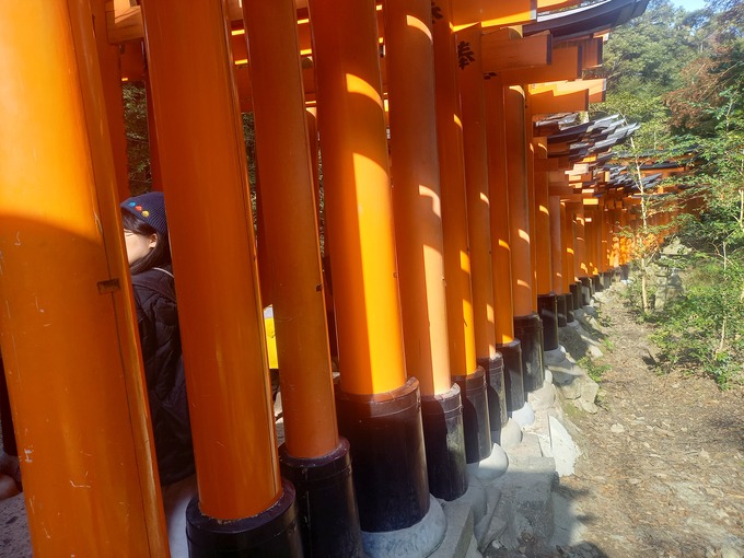 伏見稲荷鳥居
