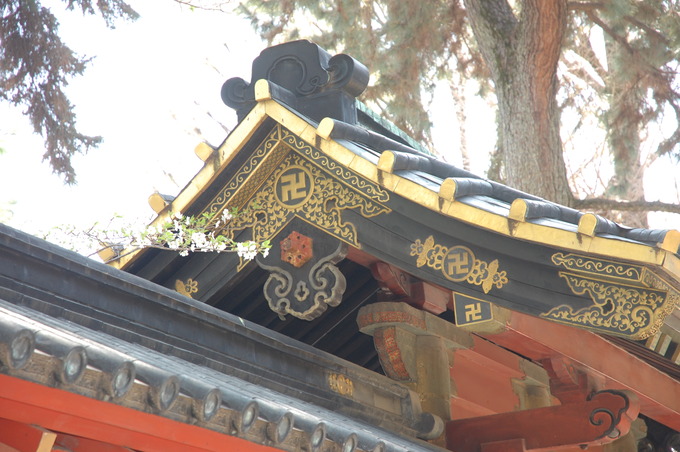 根津神社桜