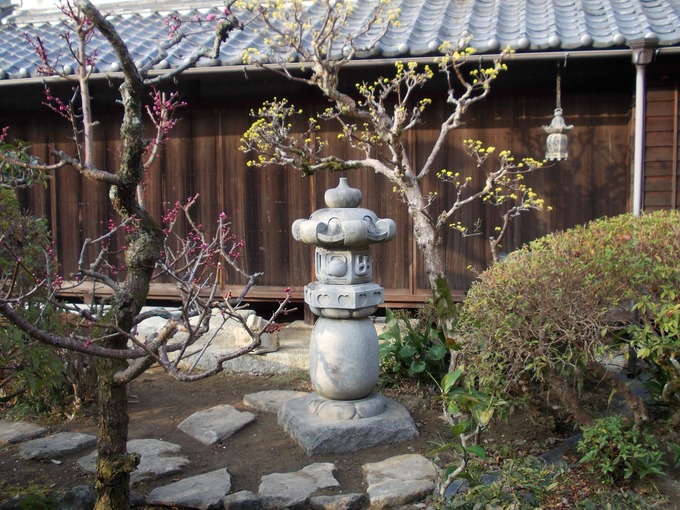 禅導寺6尺　夏山石　灯篭のあるお庭2