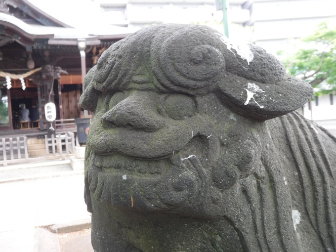 狛犬|江古田氷川神社(東京都中野区)