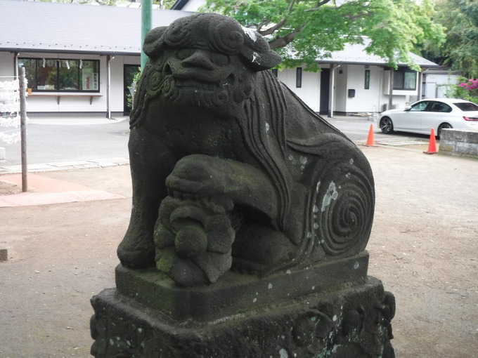 狛犬|江古田氷川神社(東京都中野区)
