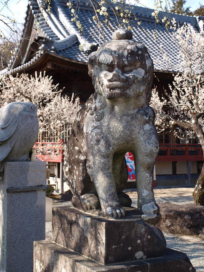 狛犬|岩津天満宮