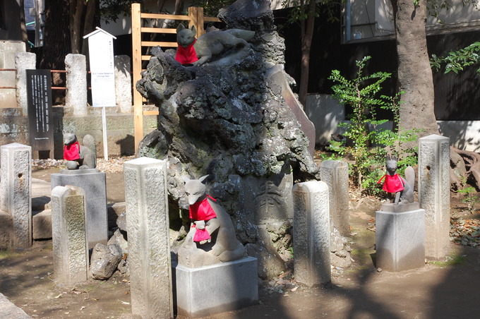 駒込稲荷狐|根津神社