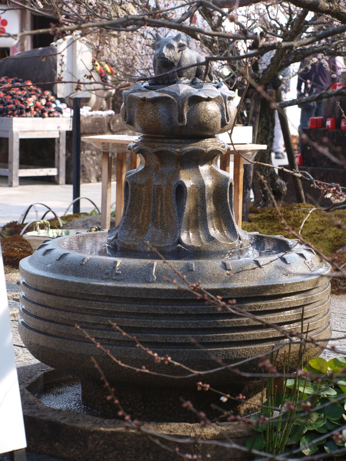 水掛け牛|岩津天満宮