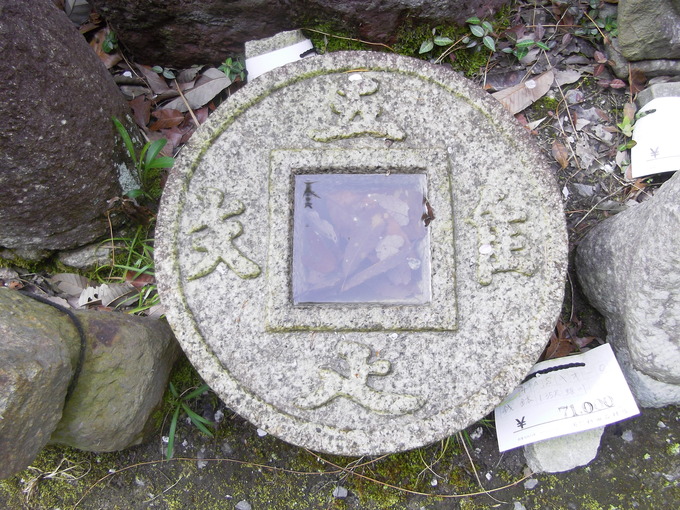 銭鉢 蛭川石