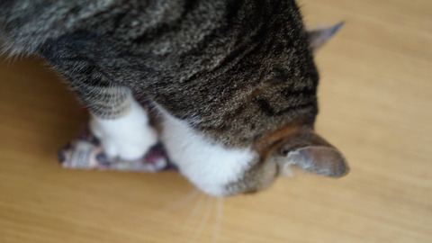 DSC01549