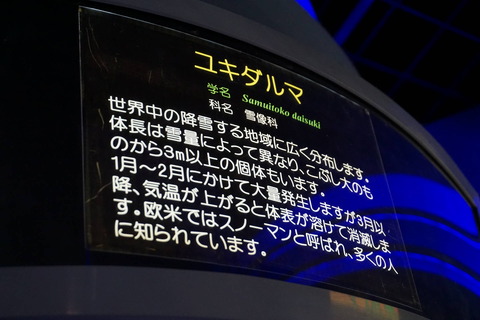立派な解説