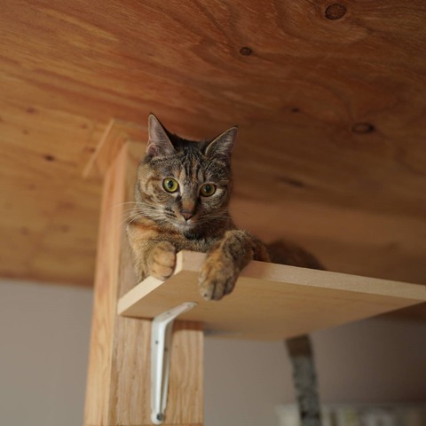 DSC04976