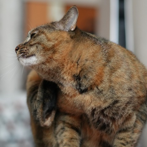 DSC00156