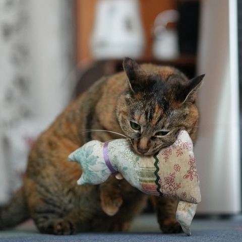 DSC00144