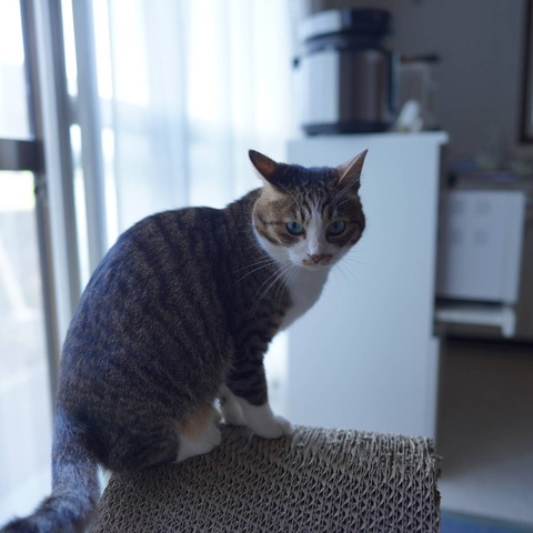 DSC06969