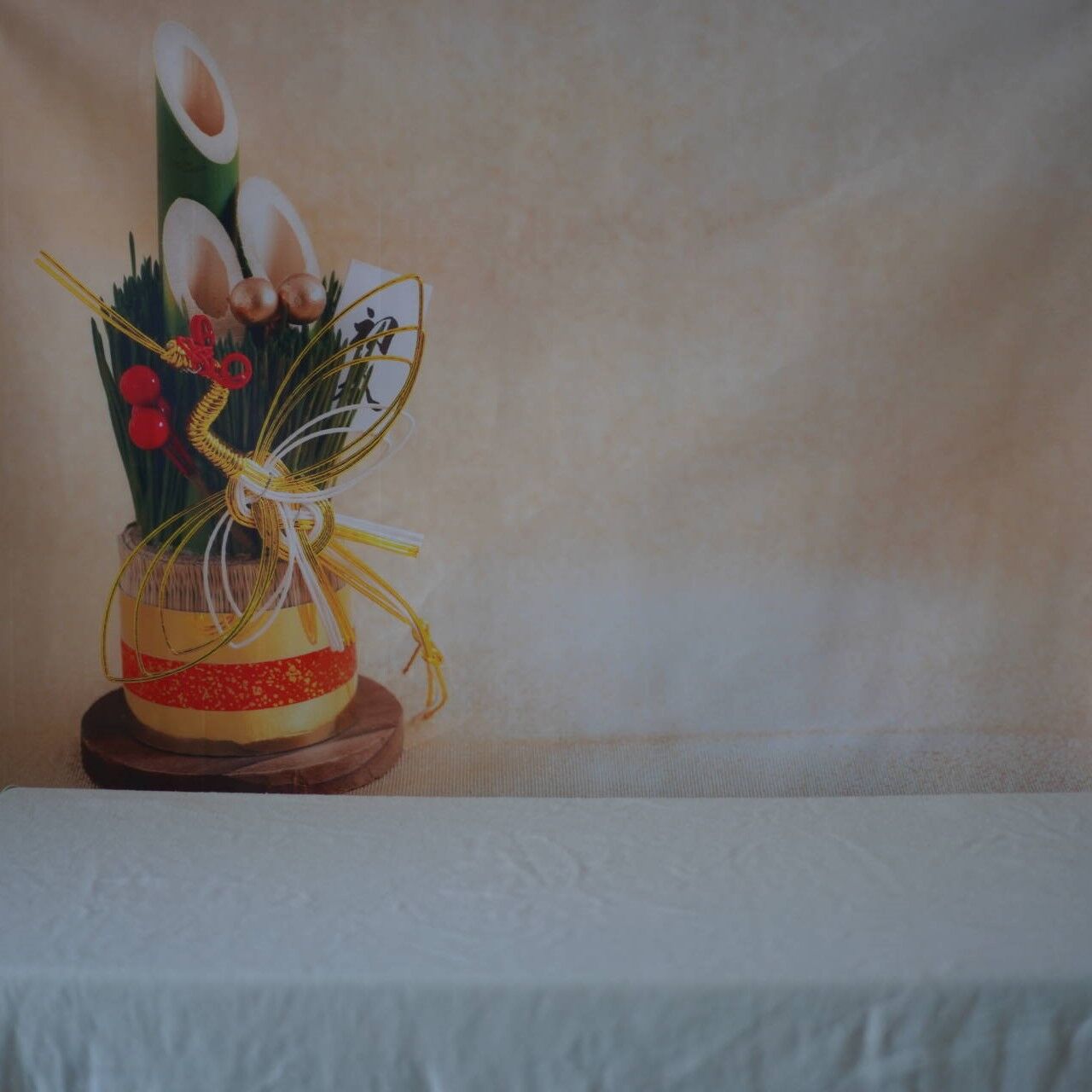 猫1263 お正月の写真撮影 足りないのは光とセンス ねことアパートと1人暮らし