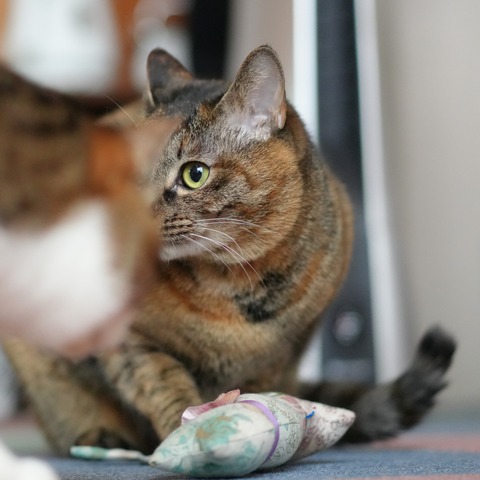 DSC00151