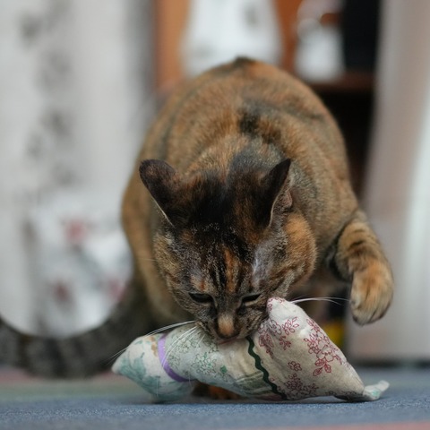 DSC00146