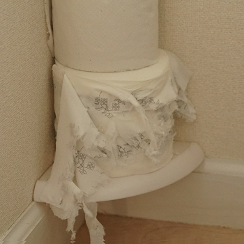 トイレットペーパーマンイエイ