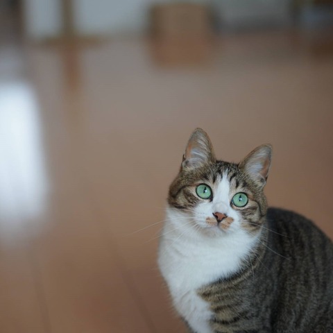 DSC01904