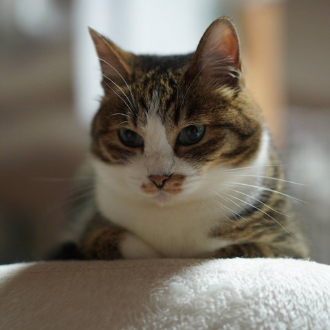 DSC06655