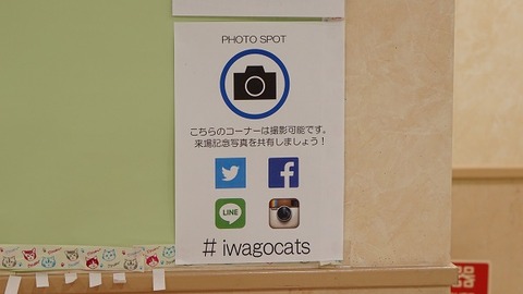 岩合さんねこのとけい3