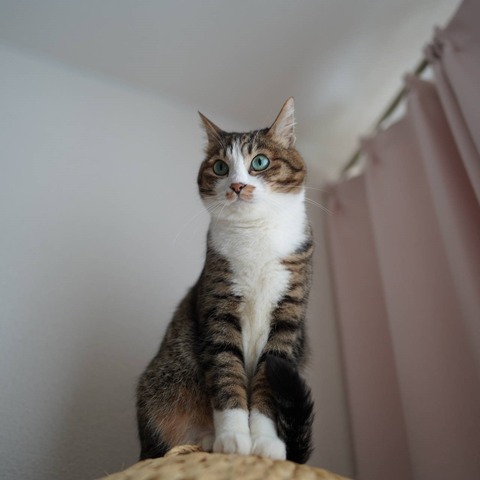 DSC00258