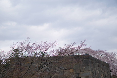 DSC03976