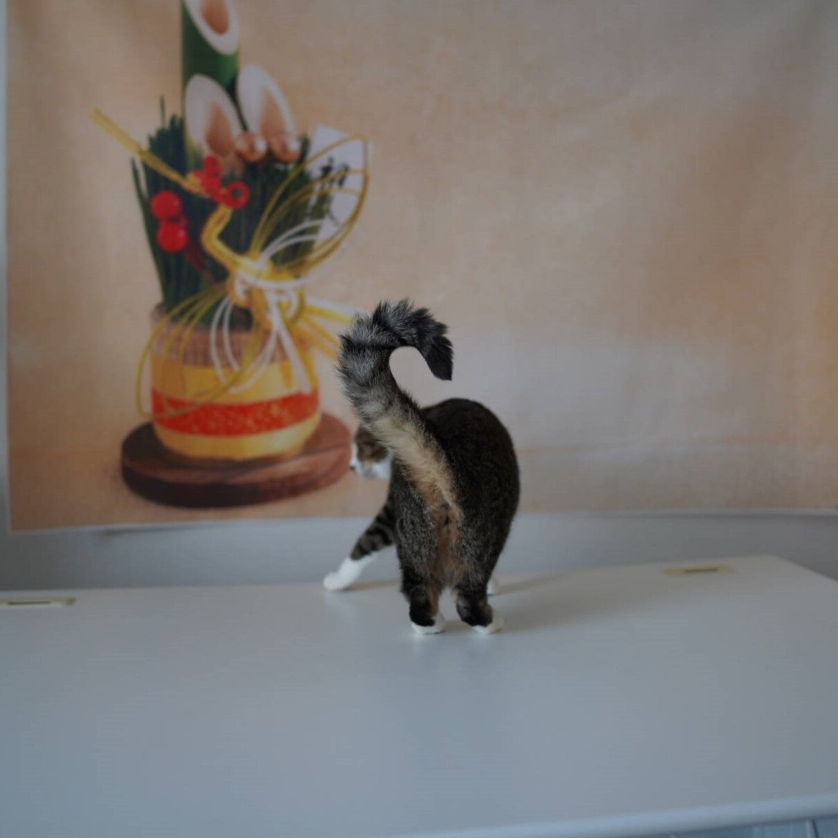 猫1263 お正月の写真撮影 足りないのは光とセンス ねことアパートと1人暮らし とらやんとおらと 猫1263 お正月の写真撮影 足りないのは光とセンス ねことアパートと1人暮らし とらやんとおらと