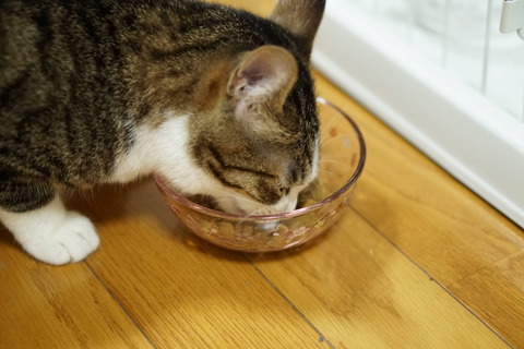 DSC05551