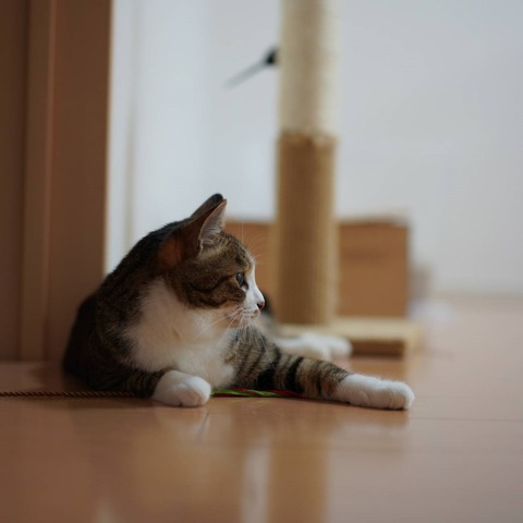 DSC02327