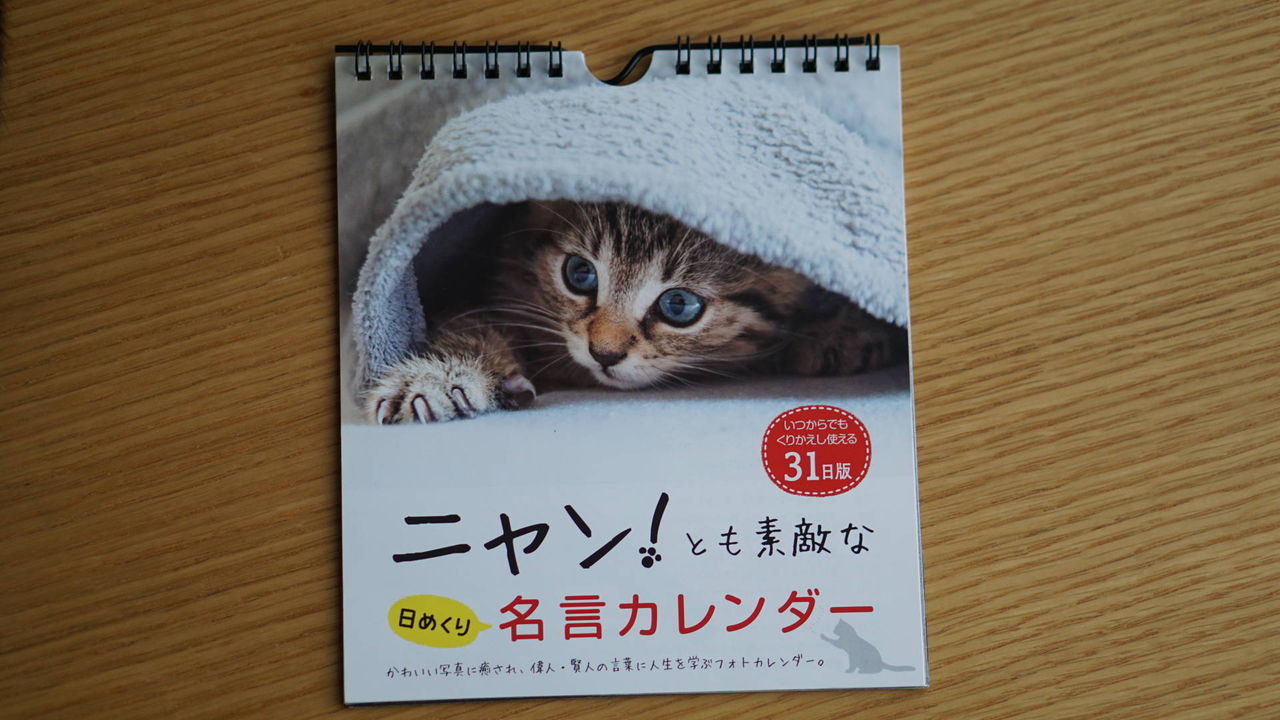 猫403 100均ダイソーの ニャン とも素敵な日めくり名言カレンダー が中々いけてるなってヾ ﾉ ねことアパートと1人暮らし とらやんとおらと