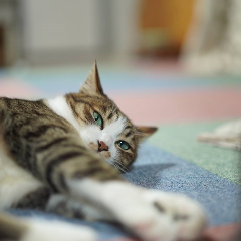 DSC04474