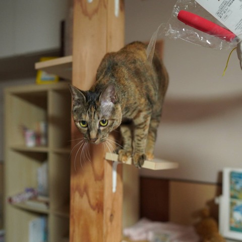 DSC06960