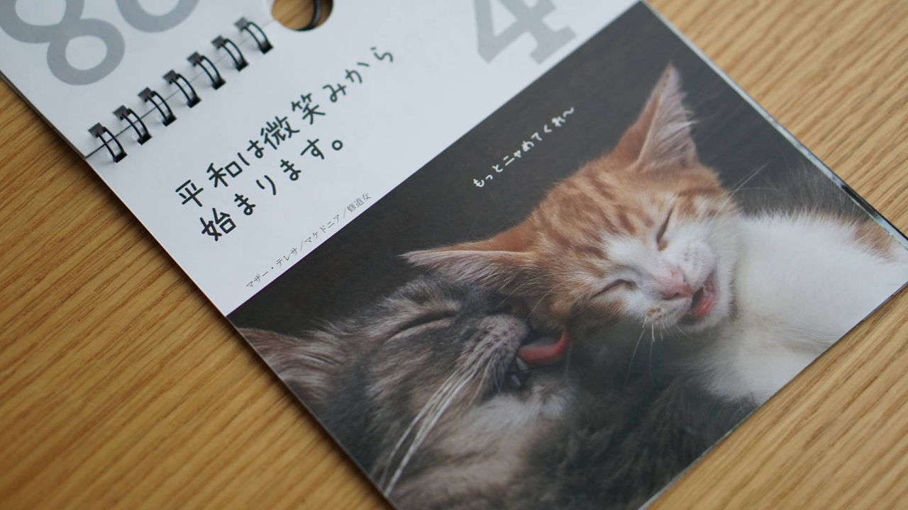 猫403 100均ダイソーの ニャン とも素敵な日めくり名言カレンダー が中々いけてるなってヾ ﾉ ねことアパートと1人暮らし とらやんとおらと