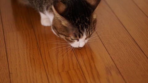 DSC01213