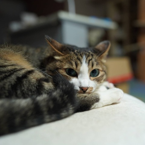 DSC06956