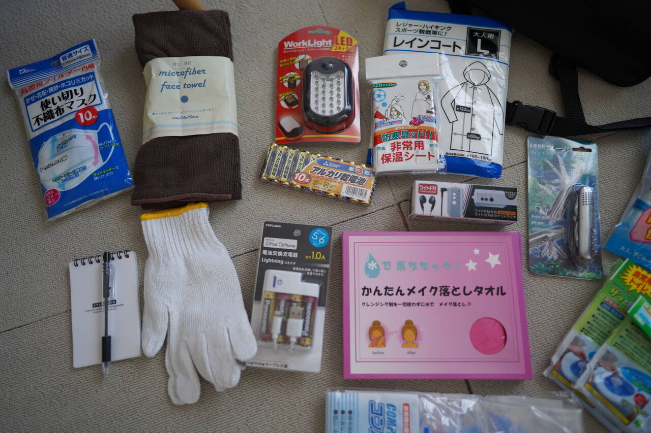 猫1152 防災グッズの中身確認と久々のとことことらやん ねことアパートと1人暮らし とらやんとおらと